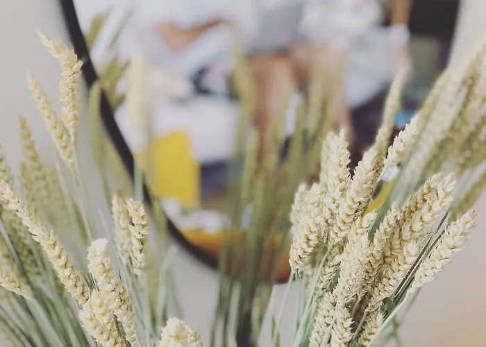 Διαμέρισμα Graecus House Καλαμάτα