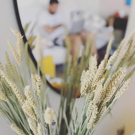 Апартаменты Graecus House Каламата